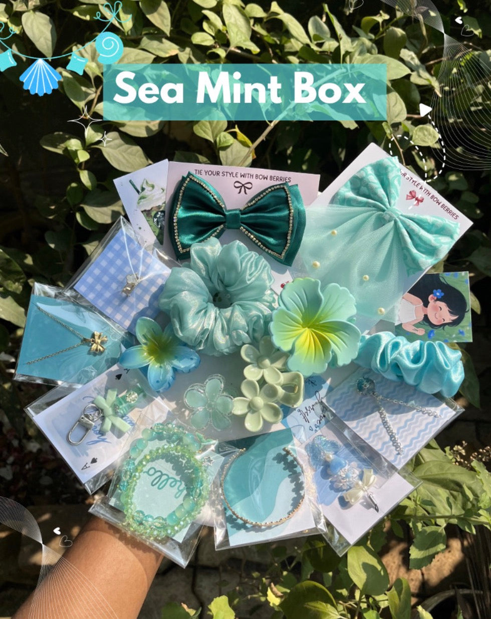 Sea Mint Hamper Box