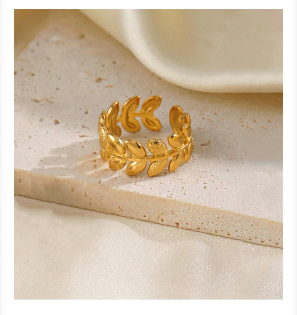 Anti - Tarnish Ring
